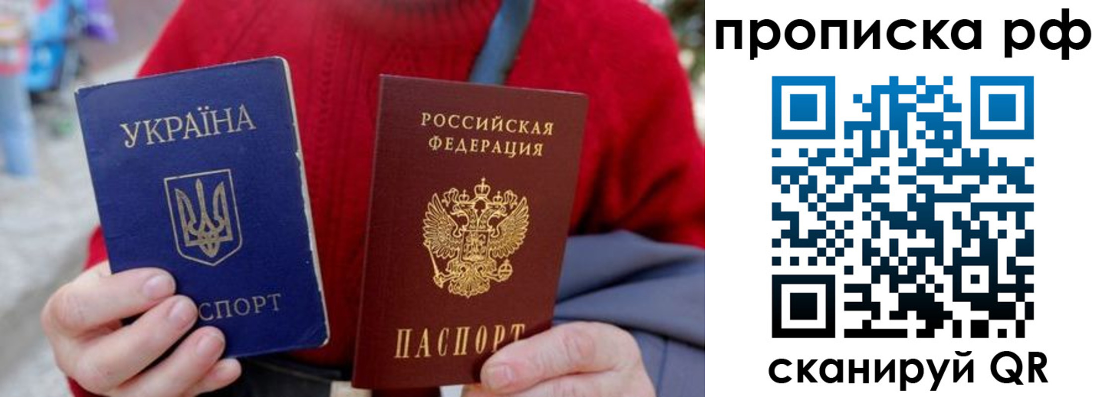 где прописаться в Щёлково